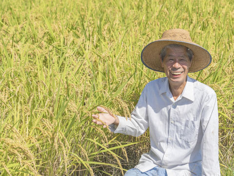 "レシピ3種付"米粉用品種『こなだもん』500g ×2P　気流粉砕製粉で扱いやすい