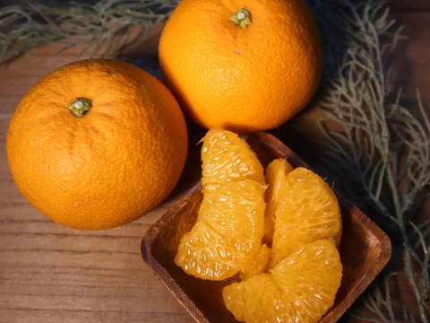 【セット商品】紅八朔・ネーブルSサイズ・小玉レモン2個【ご家庭用/5kg】