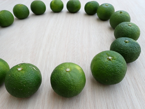 BIG！すだち【特別栽培・3kg箱】神山町からお届け：徳島県産のみかん