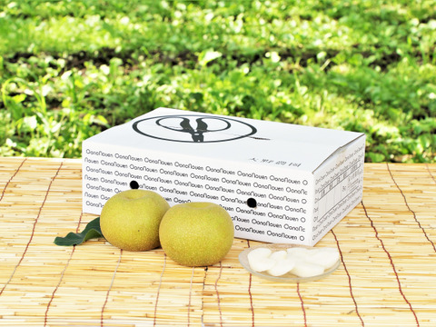 濃厚な甘さと瑞々しさが絶賛の【梨：幸水】9～5個程度（3㎏程度）