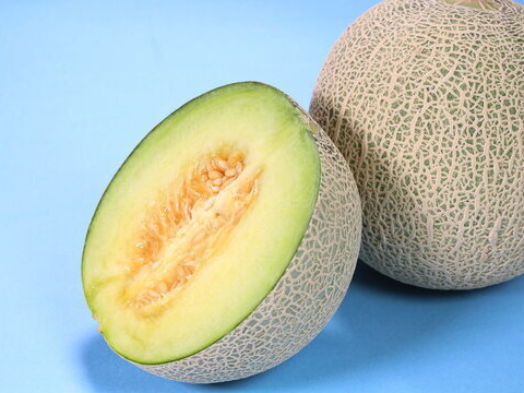 【茨城県 旭村産】メロンの王様！イバラキング【大玉】1玉