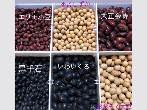 【大口顧客専用】小豆（10キロ）※個包装なし。ネット梱包