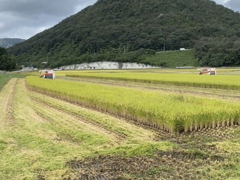 令和7年産ヒノヒカリ精米10kg