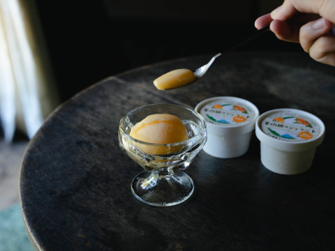 旬の美味しさを閉じ込めました　新発売　果樹園のジェラート『柑橘シャーベット食べ比べセット』３種類6個入り　配達日時指定便 杉山農園