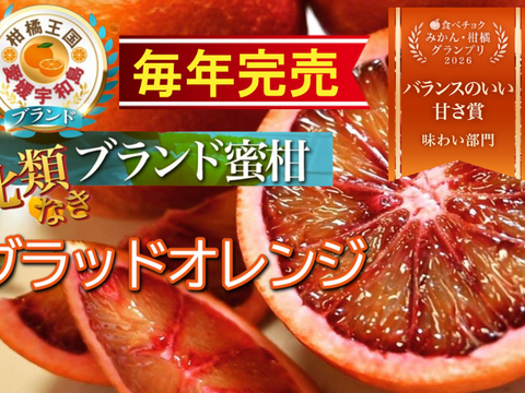 【日テレ話題沸騰】滅多にお目にかかれない『幻の生ブラッドオレンジ』国産やみつきリピーター続出🍊傾斜35度の崖上で収穫される希少な宇和島ブランドみかん☆お試しキャンペーン約1kg【2027年2月上旬】