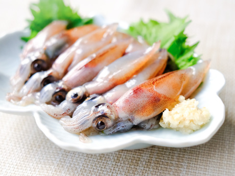 新鮮朝獲れ！獲れたて鮮度を即直送！！《富山湾》🦑生ほたるいか🦑3パック