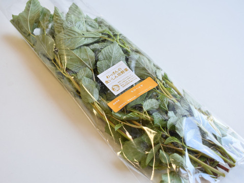 和らぎ農法　モロヘイヤ（1束）