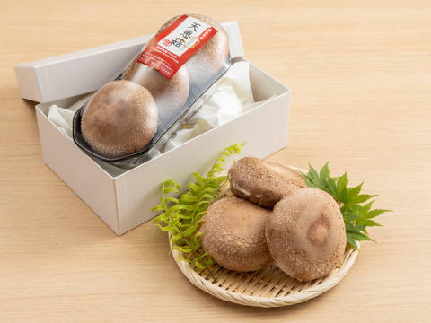 【母の日ギフト】最高級ランク　徳島県産特級天恵菇2~3枚入り　化粧箱　熨斗対応可【メッセージカード付き】