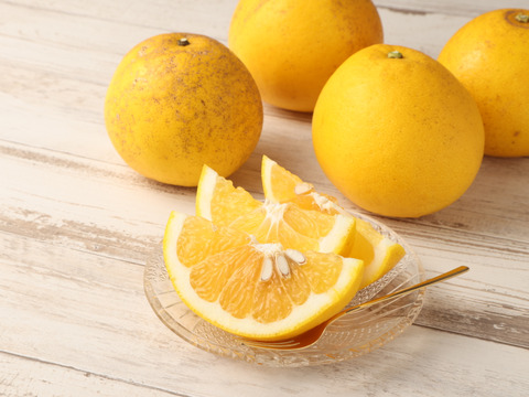 自然栽培　ジューシーオレンジ約5kg（10玉前後）🍊　別名　和製グレープフルーツ　爽やかな風味