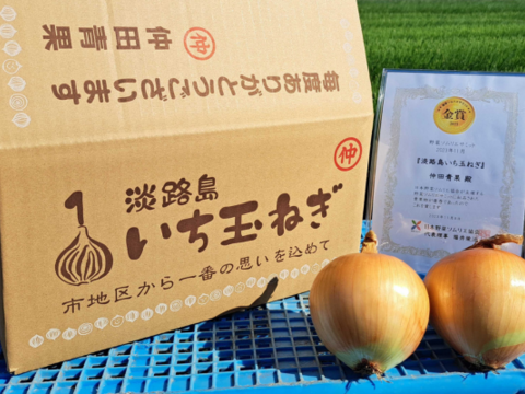 【野菜ソムリエサミット金賞🏆】淡路島玉ねぎ10kg