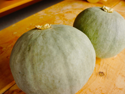 北海道産　農薬不使用【雪化粧】5キロ