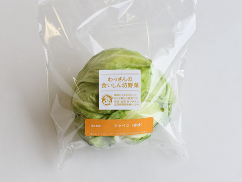 和らぎ農法　キャベツ（春波）（1玉）
