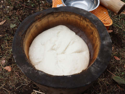 【令和7年産】農薬・化学肥料不使用　長野県産もち米【玄米3kg】