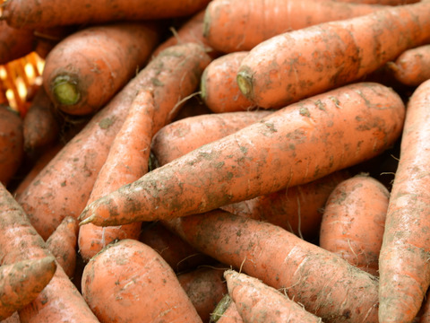 【臭みという言葉を知らない人参】食卓を彩る絶品人参❗️3kg！甘みたっぷり！生でも美味しい！希少価値高い品種！料理しやすいサイズをお届け！食卓に鮮やかなオレンジ色を🧡