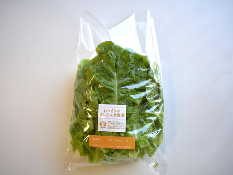 和らぎ農法　チマサンチュ　大（1袋）
