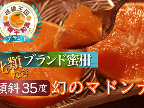 満腹まどんな 8キロ×2   愛媛県宇和島産 満腹まどんな 8キロ×2 愛媛県宇和島産 フルーツ
