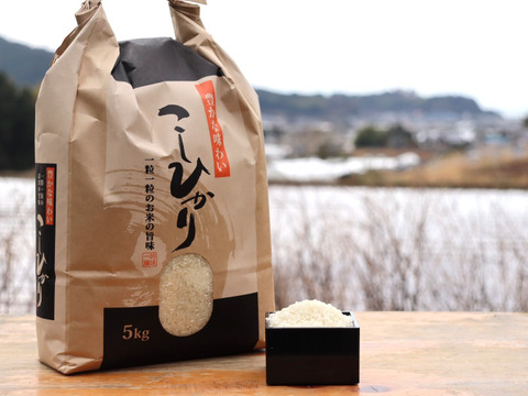 【令和7年度産　山の水で育った】高知県香南市産コシヒカリ　精米5Kg×2袋（10Kg）