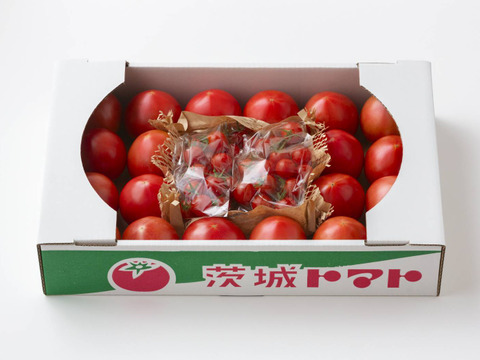 甘熟トマトの詰め合わせセット【大玉20個＆ミニ250ｇ×２】