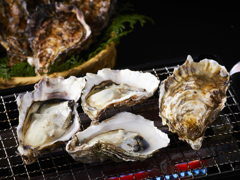 【福袋2025】（加熱用）宮島が育んだ冷凍牡蠣セット（むき身0.3kg+殻付き10個入り）