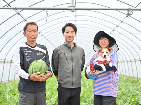 スイカの名産地！鳥取県北栄町産の「金色羅皇」秀3L 1玉入り (7.5~8.5kg)