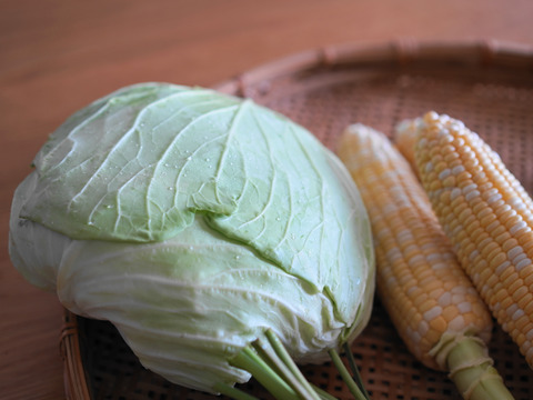 【秋の野菜セット】標高1100M・六合の伝統野菜や幻の419キャベツ計7種