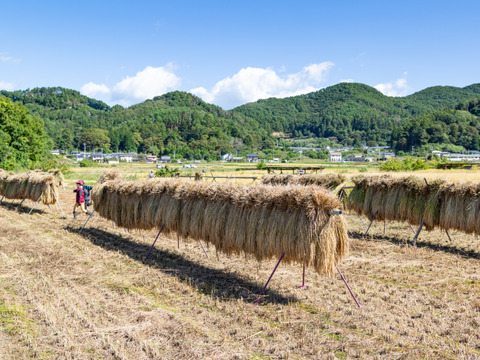 農薬化学肥料除草剤不使用天日干し米　農園産　白餅　大袋１２枚入り