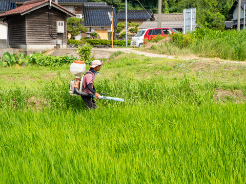 【数量限定】元気バチバチ猛暑克服セット 〜丹後コシヒカリ5kgと元気が出るメロン 2玉（15人前）〜