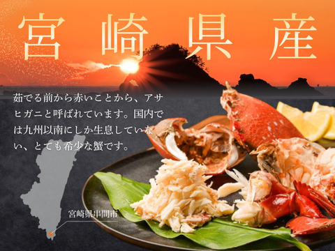 【希少ガニ】宮崎県産アサヒガニ［３kg］漁師直送・生冷凍