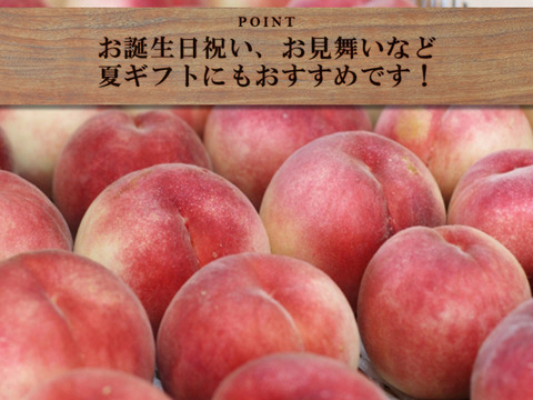 【すぐ発送！🍑山梨日川白鳳】約2キロ！中サイズ8〜9個でお届け！一度食べたら忘れられない  その時期一番おいしい品種をお届け【品種おまかせ】