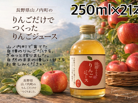 【長野県産りんご100%】長野県山ノ内町産　田畑さんちの　りんごジュース　250ml 21本