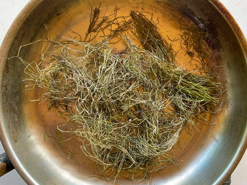 【天然スギナ】自然栽培 手摘み 1パック ネコポスでお届け