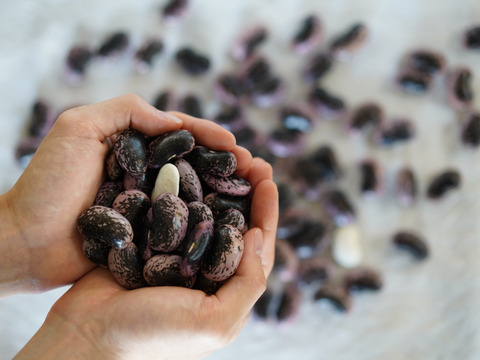 【令和6年産・花豆】群馬・六合の高原農家の伝統花豆（レシピ付）400g