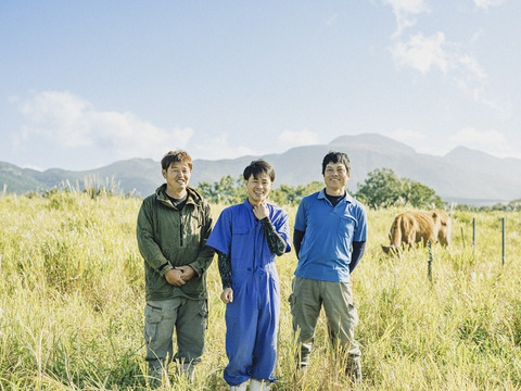 【セット】伝統野菜の種子でつくるマスタードと手軽に一品おたすけミートローフのセット