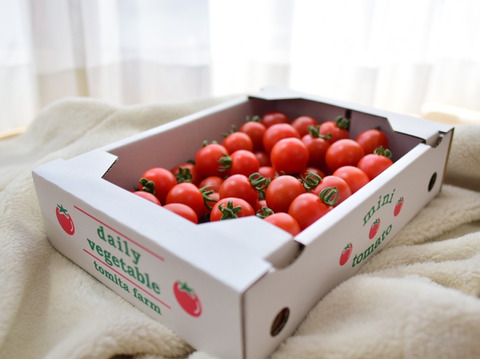 １日３粒の健康法♪毎日食べたくなるミニトマト♪１キロ