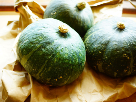 北海道産　農薬不使用かぼちゃ 【グラッセ】 　 5kg