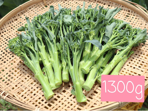 【今すぐ出せます！】箱いっぱいつめます！ 簡単調理　茎ブロッコリー（1300g） 　 from 名水の里　神奈川県秦野市