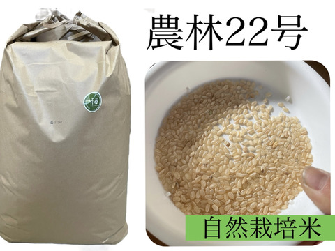 今や幻のお米！？自然栽培の農林22号（30kg）玄米　自然米