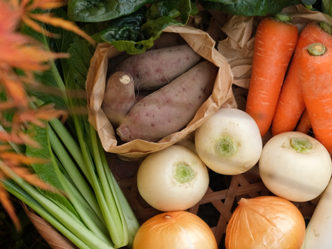 【旬のお野菜セット】使い慣れた定番野菜を中心に、農薬や化学肥料に頼らずにゆっくり元気に育った野菜をお届けします！