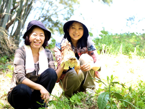 【2026年産】旬の天然タケノコ2kg（富山県氷見産 / ふるさと納税可）/ 栽培期間中、農薬・化学肥料・除草剤不使用［朝掘り採れたて発送］