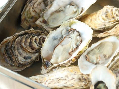 【生牡蠣】【生食用】三重県産 浦村かき カンカン焼き×2缶（1缶あたり 殻付き Mサイズ牡蠣 約40～50個前後、約4キロ入り）
牡蠣 カキ 貝類 海鮮 BBQ 歳暮 熨斗 母の日 父の日【冬ギフト】