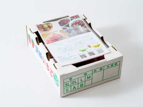《1kg》完熟冷凍いちご　いちご農家さんからの直送品　お買い得商品