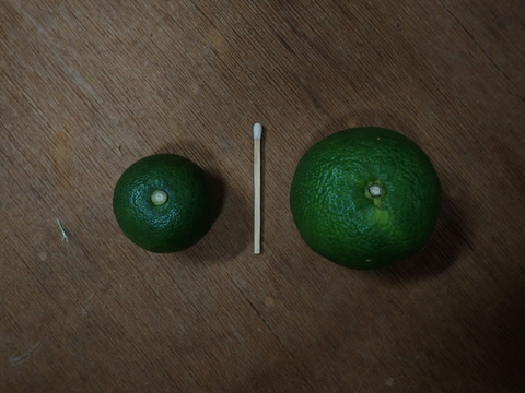 BIG！すだち【特別栽培・3kg箱】神山町からお届け：徳島県産のみかん