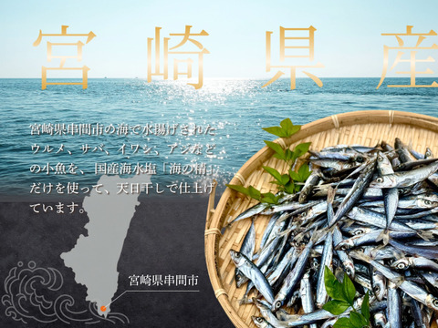 【海の精×天日干し】小魚の無添加干物（750g）