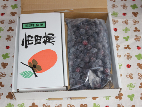 南信州特産 冷凍フルーツのセット（ブルーベリー５００ｇと市田柿３５０ｇ）【冬ギフト】