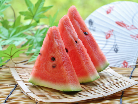 予約販売 果物王国 山形県産 糖度13度超えの美味しい甘 い大玉 尾花沢スイカ 2 3lサイズ1玉 山形県産 食べチョク 農家 漁師の産直ネット通販 旬の食材を生産者直送 予約販売 果物王国 山形県産 糖度13度超えの美味しい甘 い大玉 尾花沢スイカ 2 3lサイズ1玉 山形県産 食べチョク 農家 漁師の産直ネット通販 旬の食材を生産者直送