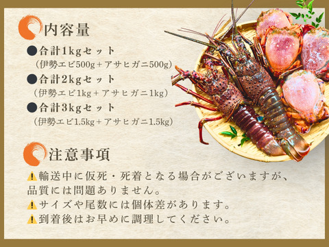【食べ比べ】宮崎産 冷凍伊勢エビ×アサヒガニセット｜合計２kgセット