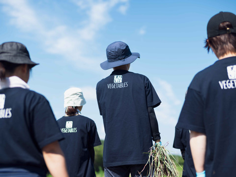 沢山のご要望に応えた大容量商品！白宝らっきょう酢漬け９０ｇ×１４Ｐ