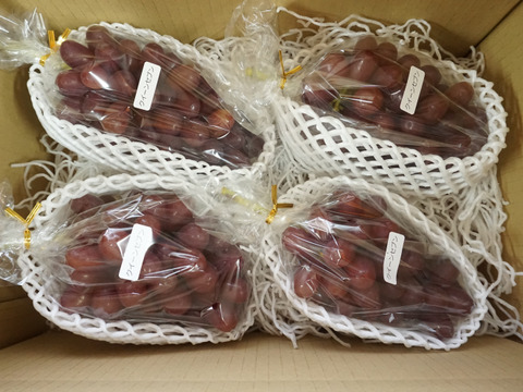 平井利右衛門の赤ぶどう(クイーンセブン/4房)