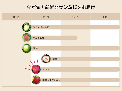 【11月発送】人気No.1！毎日食べたい！サンふじ（家庭用5kg・14~20玉）