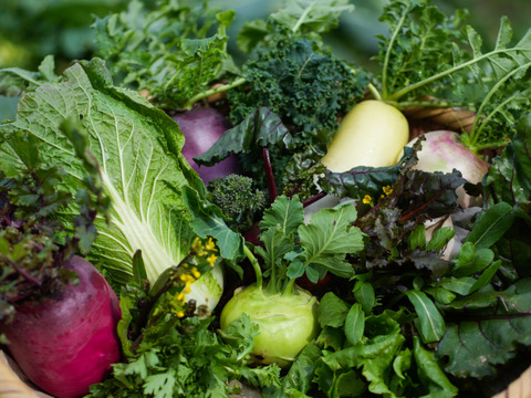 こだわり！ふるるの冬野菜セット10種程度・5㎏